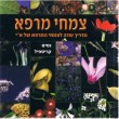 צמחי מרפא מדריך שדה לצמחי המרפא של ארץ ישראל