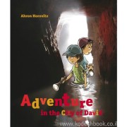 Adventure in the City of David 